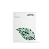 Mugwort Calming Gauze Mask 23g*10ea